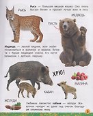 Моя большая книга о животных - 2