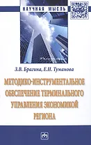 Методико-инструментальное обеспечение терминального управления экономикой региона