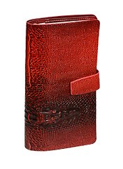 Ежедневник недат. А5- 64л 120*210 "Dandy" бордо, иск.кожа, съем.обл, карманы, In Folio