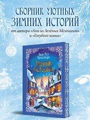 Зимние истории (подарочное издание)