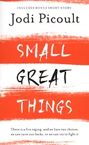Small Great Things