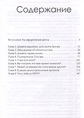 Миллиарды в песок: Тайная экономика провалившихся проектов - 2