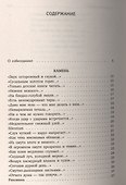 Я вернулся в мой город. Стихотворения - 1
