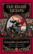 Разделяй и властвуй! Записки триумфатора