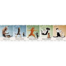 Тетрадь общая «Yoga Dogs/Cats», 60 листов в клетку, А5 - Полиграф Принт