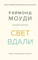 Свет вдали. Новые исследования жизни после жизни