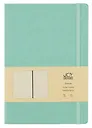 Книга для записей А4- 96л кл. "Joy Book. Ментоловый" иск.кожа, тв.переплет, ляссе, резинка, инд.уп.