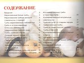 Заготовки из грибов - 1