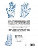 Анатомия для художников - 1
