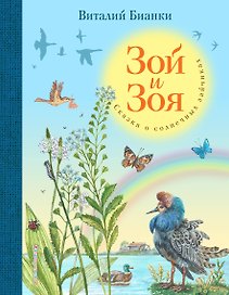 Зой и Зоя. Сказки о солнечных зайчиках