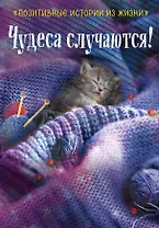 Чудеса случаются!