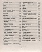 Русско-нидерландский разговорник - 2