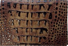 Обложка для паспорта нат.кожа, светло-коричн, крокодил лак, тип 1.1, Спейс