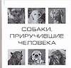 Собаки, приручившие человека - 0