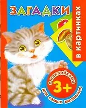 Жукова.(НАКЛ)Загадки в карт.д/сам.мал.3+