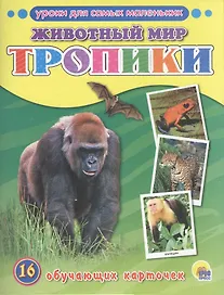 Животный мир. Тропики