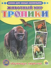Животный мир. Тропики