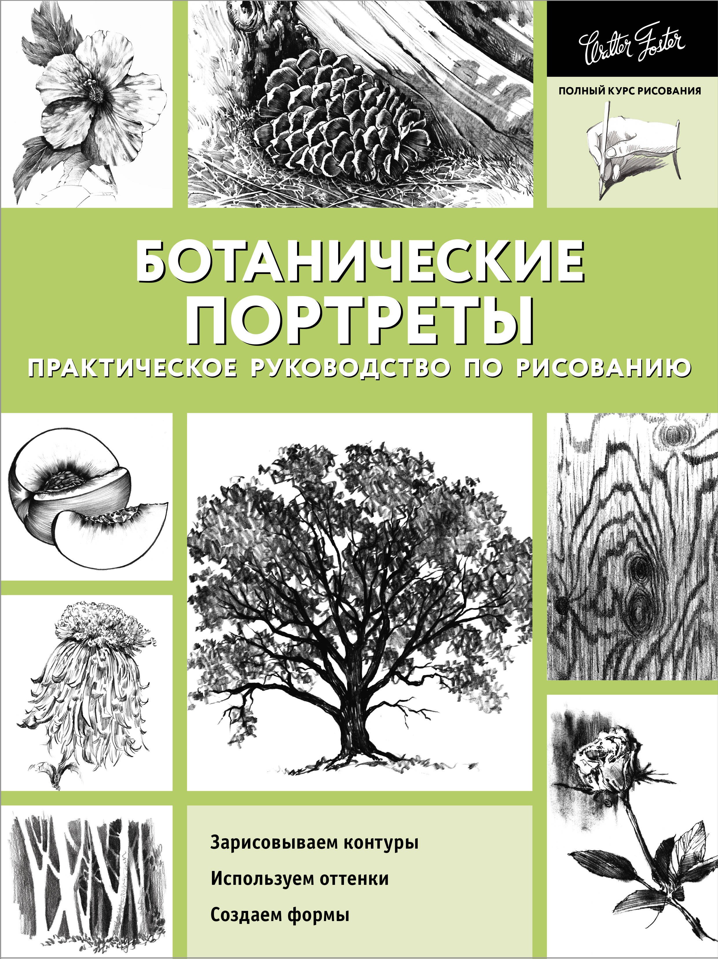 

Ботанические портреты. Практическое руководство по рисованию