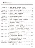 Русский язык. 2 класс. Предварительный контроль, текущий контроль, итоговый контроль - 1