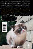 Grumpy Cat. Правила жизни самой сердитой кошки в мире - 1