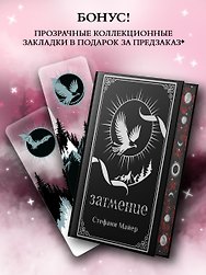Затмение (с мерчем)