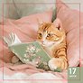 Картина по номерам на холсте с подрамником "Читающий кот", 20х20см, Art idea, 14+