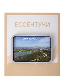 Сувенирный магнит Ессентуки озеро (дерево) (ЕЕо1)