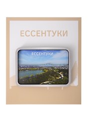 Сувенирный магнит Ессентуки озеро (дерево) (ЕЕо1)