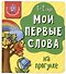 Книга Мои первые слова. На прогулке. 1-2 года - 0