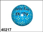 Волейбольный мяч Enjoy (гол.) (E/07-118B-10/40217) (40217)