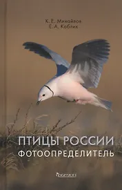 Птицы России. Фотоопределитель