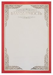 Благодарность А4, тиснение золотой фольгой