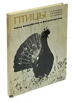 Птицы перед микрофоном и фотоаппаратом