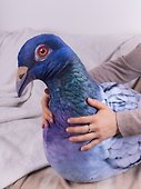 Мягкая игрушка "Голубь большой" (80 см) - 2