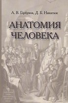 Анатомия человека