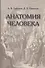 Анатомия человека - 0
