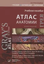 Атлас анатомии Грея. Учебное пособие (русский, английский, латинский)