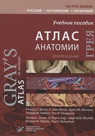 Атлас анатомии Грея. Учебное пособие (русский, английский, латинский)