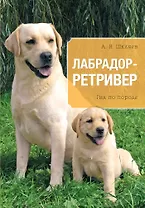 Лабрадор. Ретривер