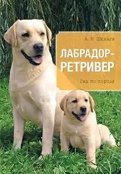 Лабрадор. Ретривер