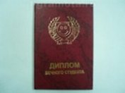 Диплом бедного студента (AE0000075) (Мастер)