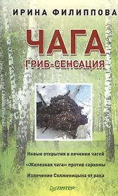 Чага. Гриб-сенсация
