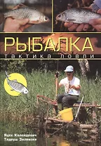 Рыбалка: тактика ловли