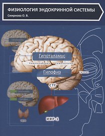 Физиология эндокринной системы (Смирнова)