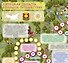 Липецкая область. Большое путешествие. Настольная игра - 2