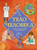 Тело человека. Атлас анатомии в картинках