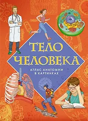 Тело человека. Атлас анатомии в картинках