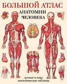 Большой атлас анатомии человека(в табл) - 0