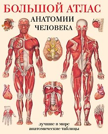 Большой атлас анатомии человека(в табл)