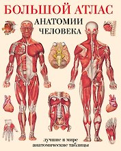 Большой атлас анатомии человека(в табл)